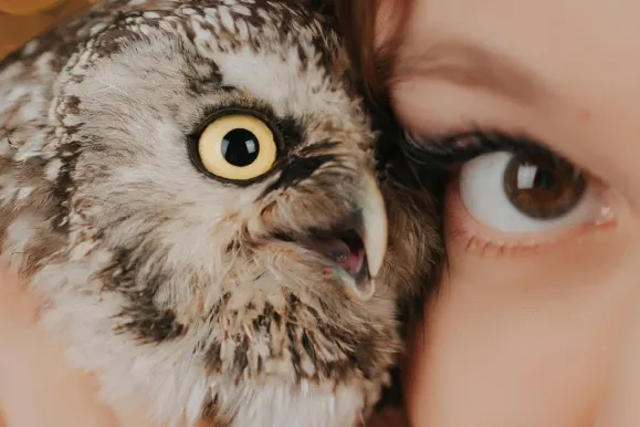 PlayFortuna Casino Assistance